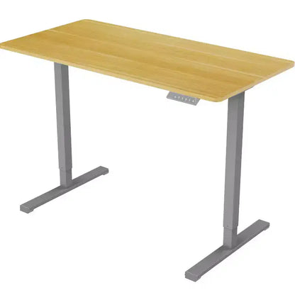 Scrivania elettrica 48 x 24 regolabile in altezza per ufficio domestico, workstation per computer, scrivania con possibilità di lavorare sia in piedi che seduti