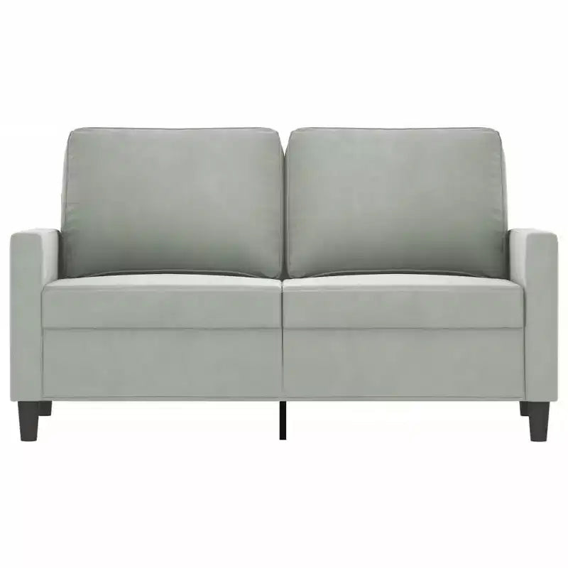 vidaXL Divano Moderno a 2 Posti, Realizzato in Velluto con Struttura in Metallo, Seduta Imbottita Confortevole, Grigio Chiaro - Ideale per Soggiorno o Patio