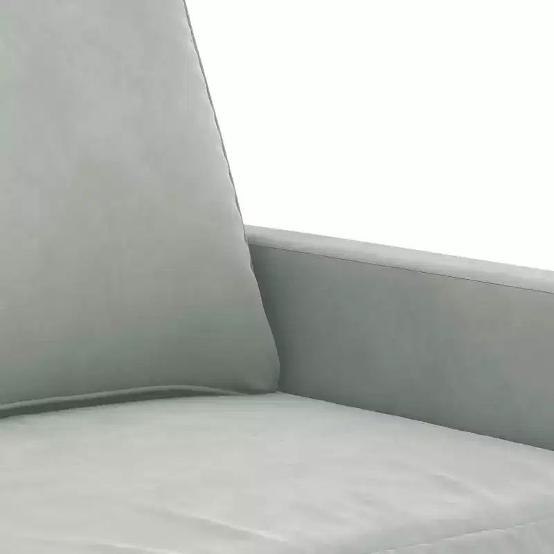vidaXL Divano Moderno a 2 Posti, Realizzato in Velluto con Struttura in Metallo, Seduta Imbottita Confortevole, Grigio Chiaro - Ideale per Soggiorno o Patio