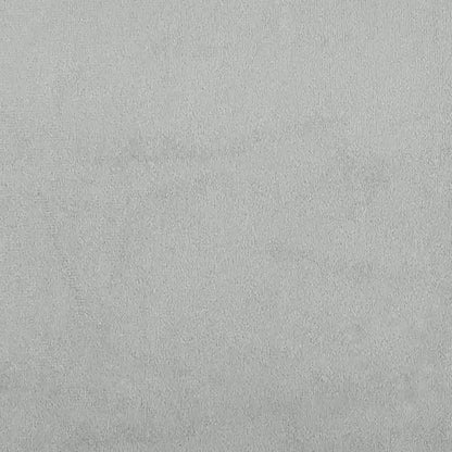 vidaXL Divano Moderno a 2 Posti, Realizzato in Velluto con Struttura in Metallo, Seduta Imbottita Confortevole, Grigio Chiaro - Ideale per Soggiorno o Patio